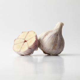 Český česnek sadbový DUKÁT  7-14 palic