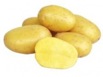 Sadbové brambory VYSOČINA - R 5kg