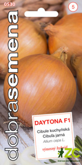Cibule kuchyňská - DAYTONA F1 / Dobrá semena