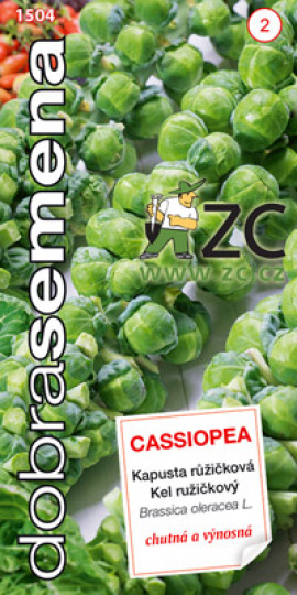 Kapusta růžičková CASSIOPEA  / Dobrá semena