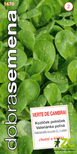 Kozlíček polníček VERTE DE CAMBRAI / Dobrá semena
