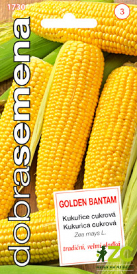 Kukuřice setá cukrová GOLDEN BANTAMF / Dobrá semena