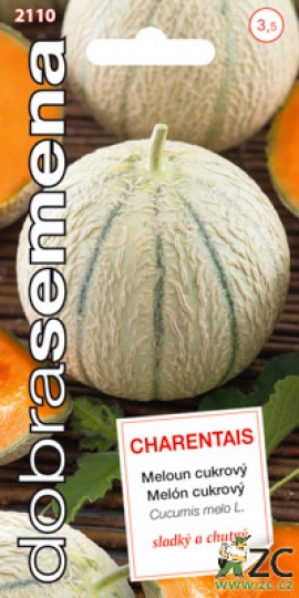 Meloun cukrový - CHARENTAIS / Dobrá semena