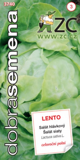 Salát celoroční - LENTO / Dobrá semena