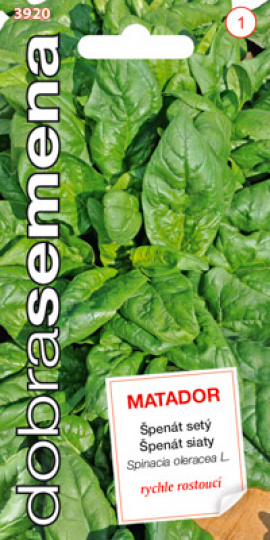 Špenát MATADOR / Dobrá semena