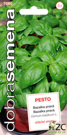 Bazalka pravá PESTO / Dobrá semena