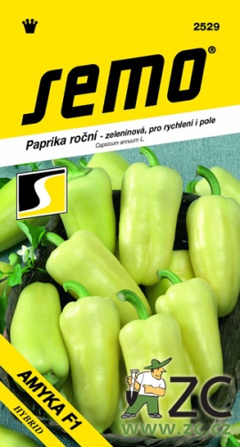 Paprika zeleninová - AMYKA F1