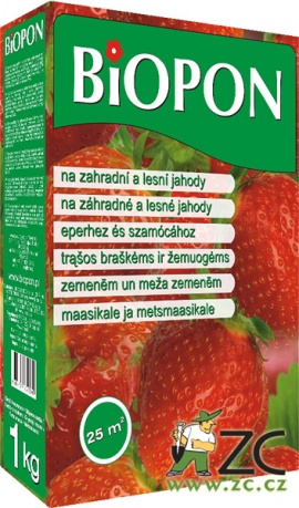 BOPON - jahody 1 kg