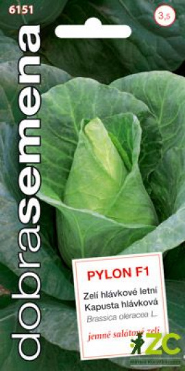 Zelí hlávkové letní špičaté PYLON F1 / Dobrá semena
