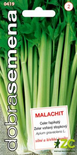 Celer bulvový - MALACHIT / Dobrá semena