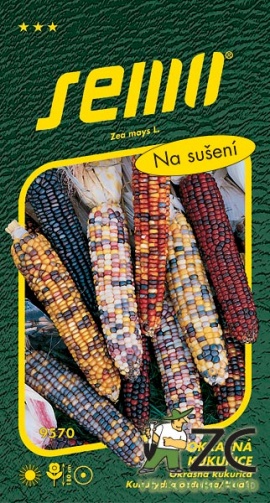 Kukuřice okrasná - směs Multicolor 4g