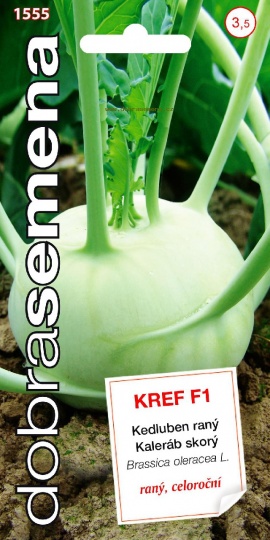 Kedluben - KREF F1 / Dobrá semena