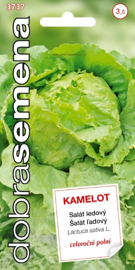 Salát celoroční ledový - KAMELOT / Dobrá semena