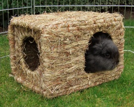 Domeček z trávy