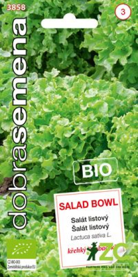 Salát křehký dubáček SALAD BOWL / Dobrá semena BIO